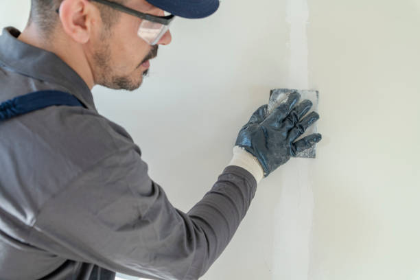 Best Comprehensive Air Testing for Mold Contaminants  in El Monte, CA