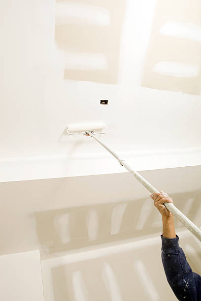 Best Black Mold Removal  in El Monte, CA